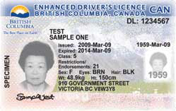 Us Drivers License In Canada